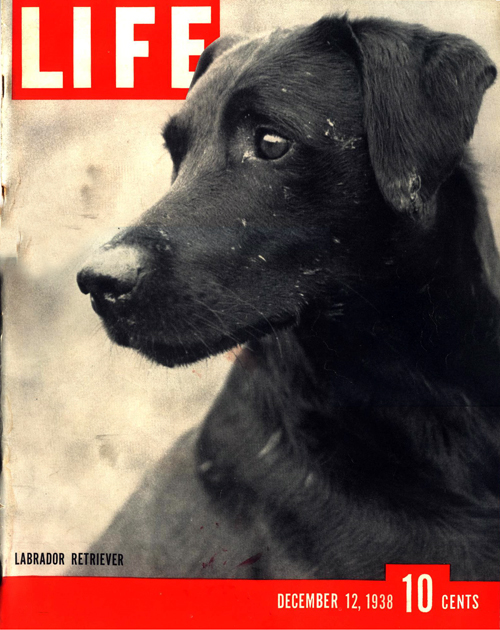 Cover of Life Magazine December 12, 1938